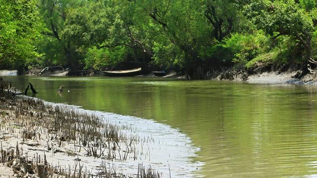 পর্যটন খাত বদলে দিতে পারে বরগুনার অর্থনীতি