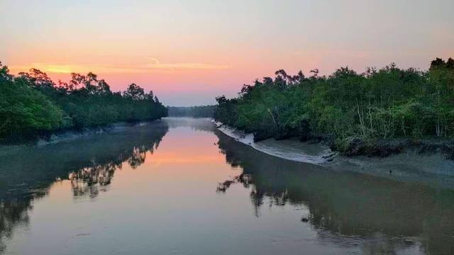 অনলাইনে মিলবে সুন্দরবন ভ্রমণের টিকেট