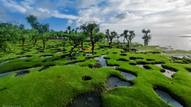 অপার সম্ভাবনার নিদ্রা সমুদ্র সৈকত