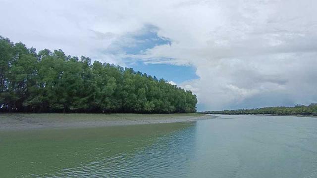 সুন্দরবনে ৩ মাসের জন্য পর্যটক প্রবেশে নিষেধাজ্ঞা জারি