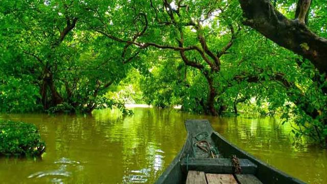 বাংলাদেশের আমাজনঃ পর্যটকদের জন্য আকর্ষণীয় ভ্রমণ